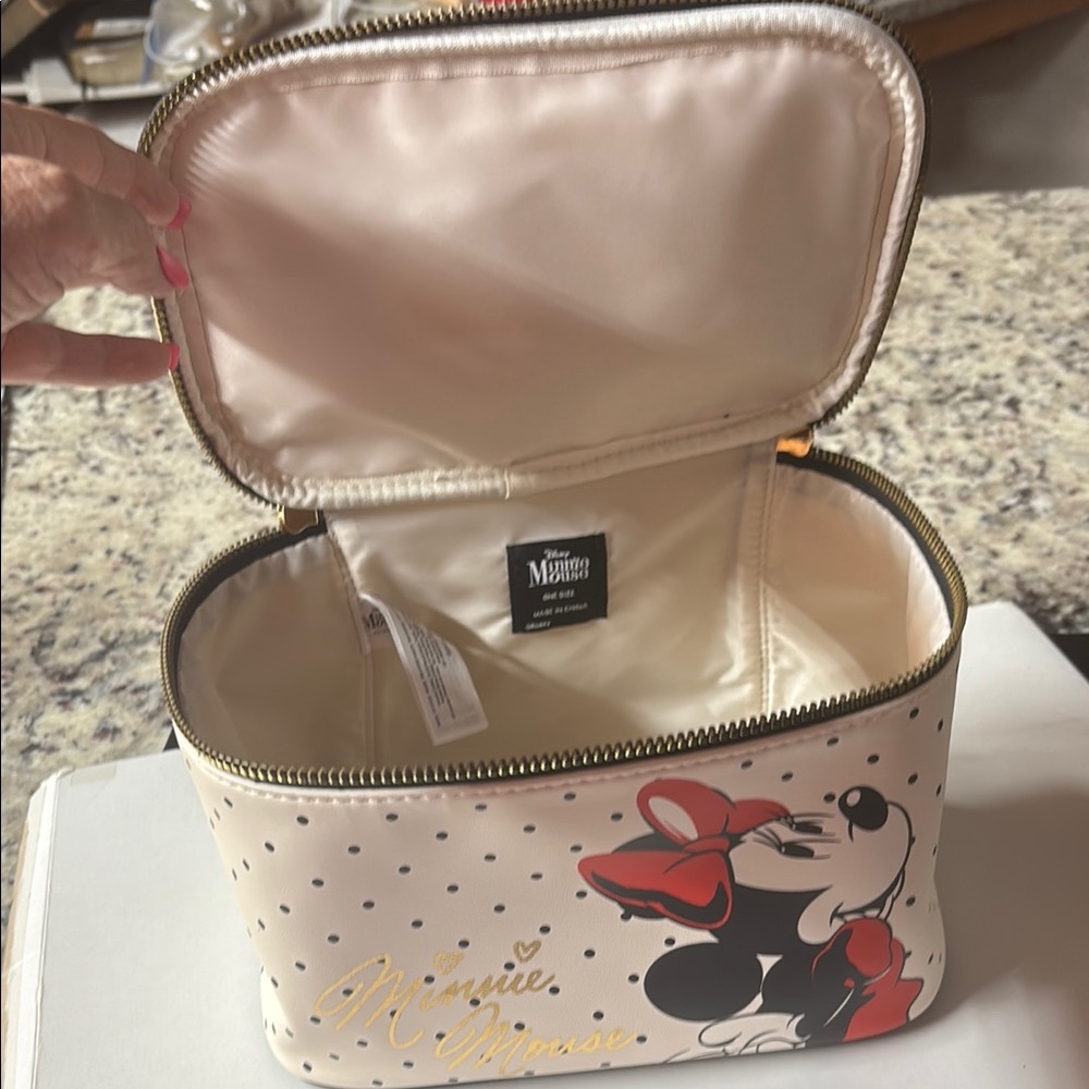 Disney Minnie Mouse Polka Dot Vanity Case